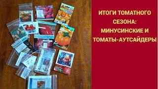ИТОГИ ТОМАТНОГО СЕЗОНА: МИНУСИНСКИЕ И ТОМАТЫ-АУТСАЙДЕРЫ