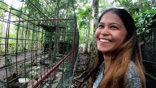 Our Super-Awesome Bohol Misadventure 4:  Enchanted Tarsier Garden (Animal Jail)