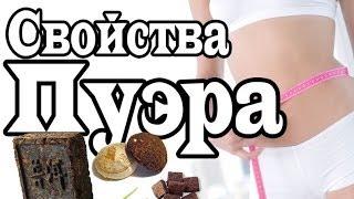 ►Чай пуэр - Свойства пуэра | Смола Пуэра