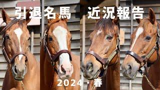 引退名馬　近況報告《2024・春》