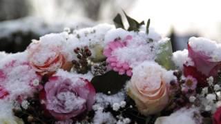 Die vier Jahreszeiten - Der Winter - The Four Seasons - winter - Antonio Vivaldi