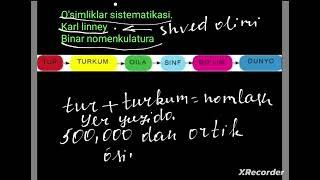 8-dars. O‘simliklar dunyosi.