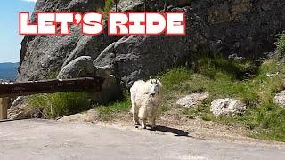 Experience the BEST of Black Hills National Forest and Sturgis RALLY Adventures