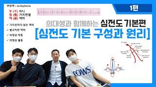 의대생과 함께하는 심전도 기본편 I 1.심전도 기본 구성과 원리