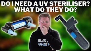 Do You Need a UV Sterilizer? What Does a UV Steriliser Do in a Freshwater Aquarium?