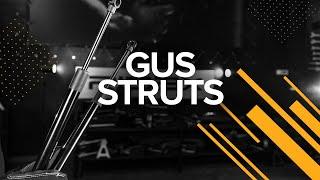 Boot gas struts | RIDEX