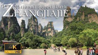 Zhangjiajie National Forest Park - A Paradise for Nature Lovers