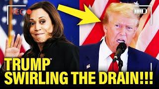 Trump PANICKED as Harris SURGES Past KEY THRESHOLD