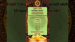 Luận Giải Tử Vi, Phong Thủy, Nhân Tướng, Thần Số Học | Cộng Đồng Phong Thủy Số Việt Nam #hvptsvn