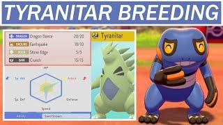 Why You Should Breed a Tyranitar - "Pro" Pokemon Breeding Guide