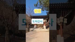 #도피안사 #사찰 #철원여행 #여행지추천  #철원가볼만한곳