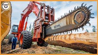 Extreme Dangerous Fastest Big Chainsaw Cutting Tree Machines | Monster Stump Removal Excavator #22