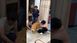 Accident prank on family #shorts | Anant Rastogi