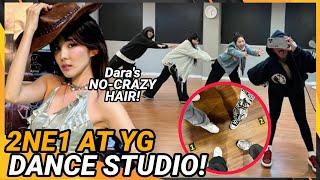 Dara's crazy hair; 2ne1's rehearsal at YG studio & possible concert in the Philippines!?