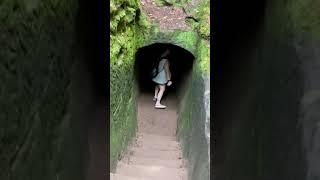 Exploring Old Man’s Cave - Hocking Hills, Ohio (Main / Shortest Trail)