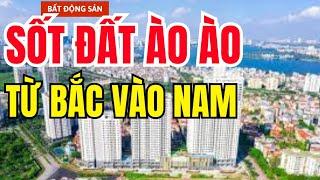 SỐT ĐẤT Ào Ào Lan Đến Khắp Nơi, Thực Tế Thế Nào