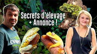 On visite un élevage incroyable ! Secrets de réussite, astuces + EXPOSAURUS