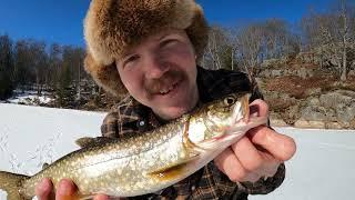 Ice Fishing CATCH AND COOK on a Mountain for LAKE TROUT