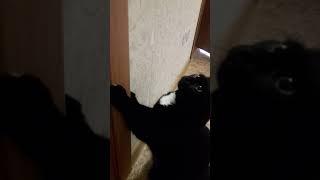 Таня на зарядке