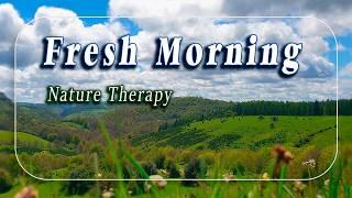 Healing Frequency Fresh Morning️˚.Nature Therapy Peaceful Meditative Meadow for Positive Energy