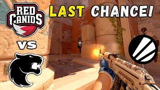 LOSER IS OUT! RED Canids vs FURIA - HIGHLIGHTS - ESL Pro League Season 20 | CS2