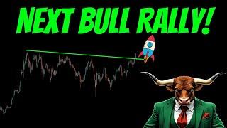 The BEARS will MISS another BULL RALLY! Be Prepared!