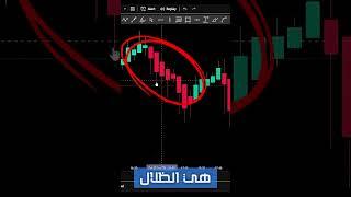 افضل مؤشر TradingView - مؤشر  #تداول #xm #اسهم