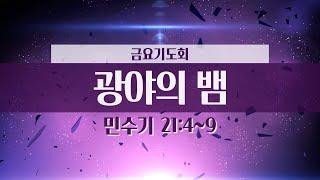 [세광교회-금요기도회] 광야와 뱀 | 유창진 목사 | 2024-1227