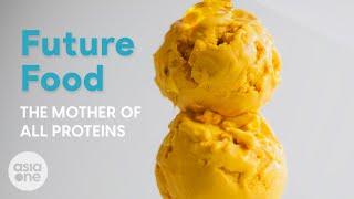 Protein made from air? | Future Food