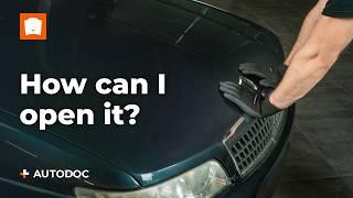 What to do if your car’s bonnet won’t open | AUTODOC tips