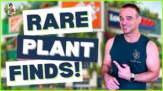 Fall 2024's BIGGEST Plant Steals in Big Box Stores!