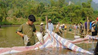 Fish catching festival in Manh and Tieu Yen's hometown - Manh Prepares to treat the fish tank