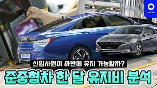 신입사원이 준중형차 유지 가능할까?