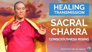 The Ultimate Sacral Chakra Healing  Consciousness Rising  Master Healer Sri Avinash