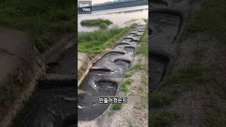 구불구불하게 생긴 이유
