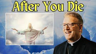 Catholic Priest BEAUTIFULLY Explains What Happens After You Die | Bishop Barron | @tjseaney reacts