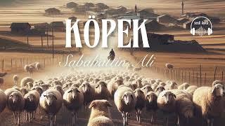 KÖPEK | Sabahattin Ali (Sesli Öykü)