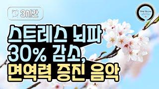  하루 한번만 들어라! 스트레스 뇌파 30% 감소, 면역력 증진 치유음악 (Music Therapy) 피아노 ▶벚꽃음악 - CH Korea Meditation MUSIC