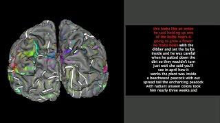 Neuroimaging reveals detailed semantic maps across human cerebral cortex - Science Nation