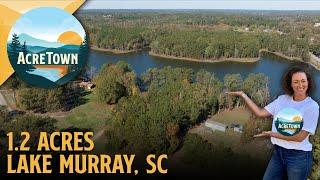 Cheap Land in South Carolina on Lake Murray | 1.2 acres | Waterfront | Power | No Restrictions