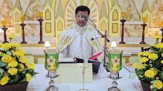 Sunday Holy Mass November 24 5.30 AM I Malayalam I Syro Malabar I Fr Bineesh Augustine