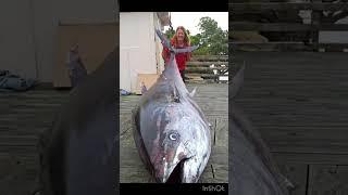 The biggest tuna in the world ￼