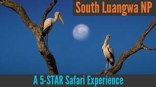 Amazing African Safari || African Safari Adventures - Episode 3 - Puku Ridge, South Luangwa Zambia