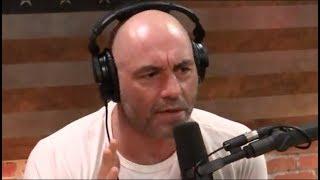 Joe Rogan - The Racial Differences in Intelligence Debate