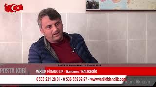 VARLIK FİDANCILIK