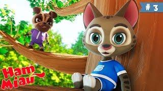 Ham Miau  Sus si jos  Desene animate pentru copii | HeyKids