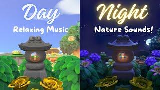 Day and Night + Relaxing Music and Nature Sounds | Animal Crossing: New Horizons Ambience