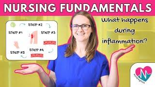 Inflammatory Mediators  What Happens During Inflammation?  (NEW Nursing Fundamentals Series)