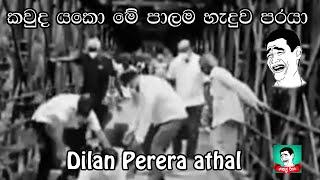 Dilan Perera Funny Meme