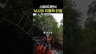 거미줄 아니고 낚시줄입니다...이게 된다고?